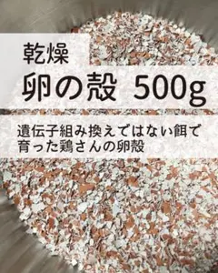 [건조/분쇄] 에그쉘 500g