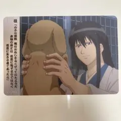 銀魂　カード　桂小太郎