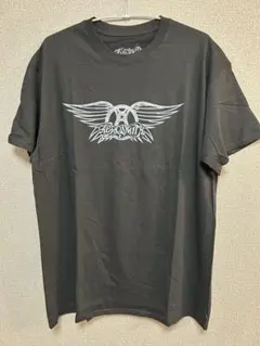AEROSMITH エアロスミス　ウィングロゴ Tシャツ キムタク着用