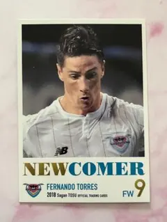フェルナンド トーレス Jリーグ サガン鳥栖 レギュラーカード②