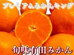 絶品‼️プレミアムみかんキング 旬味有田みかん（宮川早生） 3kg
