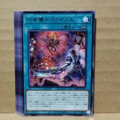 もいもい様 リクエスト 5点 まとめ商品 パライゾス2、あとは1