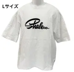 Item thumbnail for item 522eabf7-404e-48f2-9bac-671161b63167