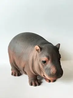 リアルオブジェ カバ 赤ちゃん アニマル 動物 置物 インテリア コレクション