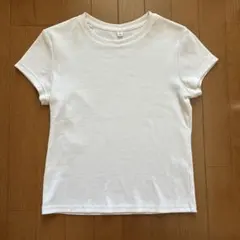 Item thumbnail for item e86ffbd8-9027-4b9d-82cf-70253e1cfbca