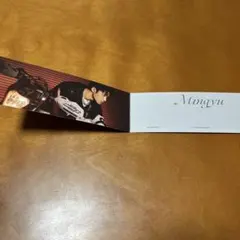 Seventeen Attacca Mingyu カード