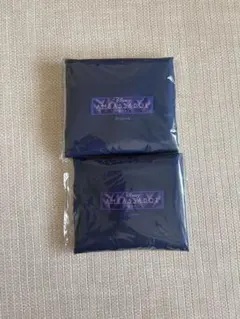 ディズニー　アンバサダーホテル　エコバッグ ミッキー　ミニー