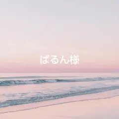 コメントご確認下さい ぱるん様 リクエスト 6点 まとめ商品