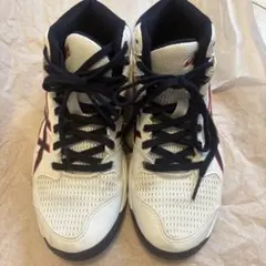 ASICS DUNKSHOT 22cm バスケットボールシューズ ジュニア