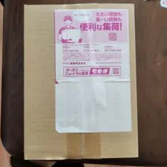 【新品未開封】ポケモンカードゲーム MEGA 拡張パック インフェルノX BOX