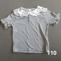 テータテート Tシャツ 110　えりつき