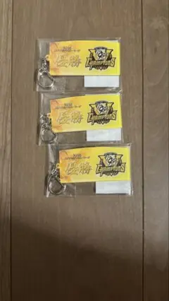 阪神タイガース　優勝記念キーホルダー3セット