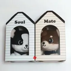 INFINITY MOON登坂広臣ØMI Mate Soulメイト ソウル - メルカリ