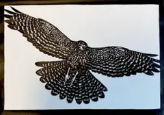 Item thumbnail for item aac4c6e8-c194-488c-9c53-5741283b40a8