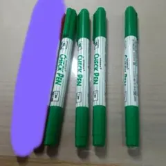 チェックペン 赤緑 6本セット