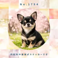 Item thumbnail for item 2d43cfa6-9813-4bb0-80b6-e92b8f616d69