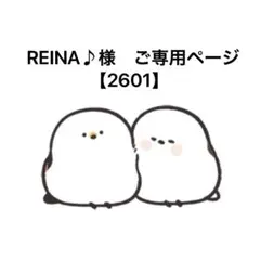 REINA♪様　ご専用ページ　【2601】