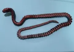 Item thumbnail for item a5356c82-fae1-49cf-8ef4-8d7cb5fee3af