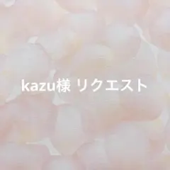 kazu様 リクエスト 2点 まとめ商品
