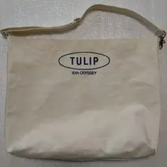 Item thumbnail for item 336a471c-94ce-4035-bf93-5dc30ee5246a