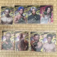 RIZIN格闘技選手トレーディングカードセット