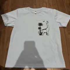 glimmer WL 水色 恐竜プリント Tシャツのサムネイル