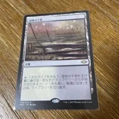 2026年最新】湿地の干潟/marsh flatsの人気アイテム - メルカリ