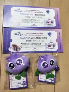 わかさ生活　ブルブルくんマスコット他