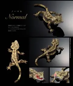 いきもの大図鑑