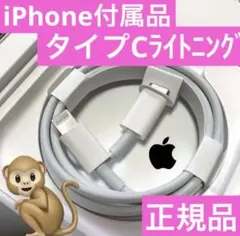 iPhone 充電器  タイプCライトニングケーブル 純正品 Apple正規品