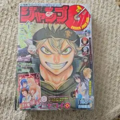 緑*イ様 家庭教師ヒットマンREBORN！ リボーン 1巻 初版 帯