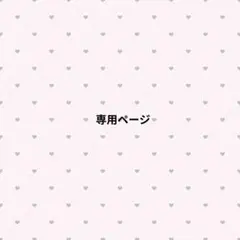 専用ページ
