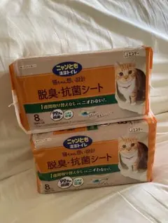 Item thumbnail for item 42d2fb7f-f52f-42f8-9eec-e5264869dd83