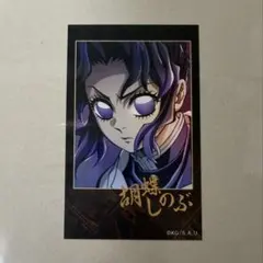 2026年最新】鬼滅の刃 胡蝶しのぶ ランダムチェキ風ブロマイドの人気