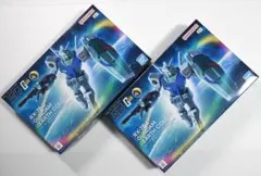 バンダイ HG RX-78-2 ガンダム 【アースカラー】 2箱セット　ガンプラ
