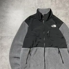 THE NORTH FACEノースフェイス　デナリ　刺繍ロゴ　フリースジャケット