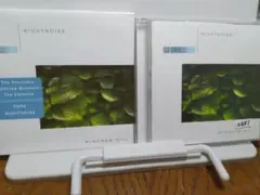Nightnoise CD「Pure Nightnoise」