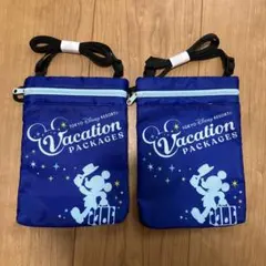 【新品未使用】東京ディズニーリゾート バケーションパッケージ ポーチ 2個セット