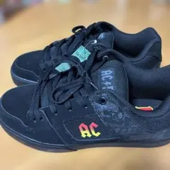 AC/DC SBスニーカーのサムネイル