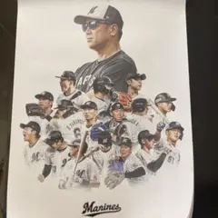 千葉ロッテマリーンズ 試合日程告知ポスター 1996年~2003年 10枚セット
