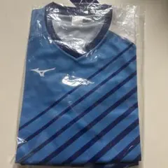 Mizuno テニス Tシャツ Lサイズ 青のサムネイル