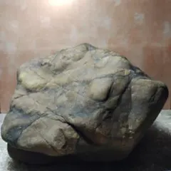 青石 庭石 阿波石 造園 庭園 園芸 飾り 自然石 枯山水 オブジェ diy