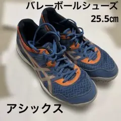 Item thumbnail for item 99d03407-13aa-49d0-b2a6-c70f5667618f