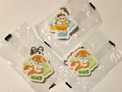 【新品】くら寿司　mofusand モフサンド ラバーチャーム　３点セット