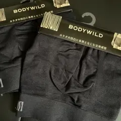 Item thumbnail for item 09b51aea-1df1-49cd-965d-5aa6ca9475f3