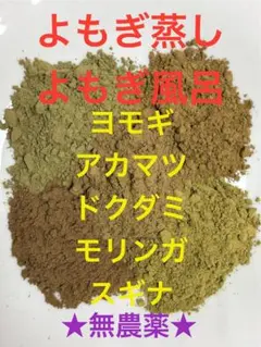 冬虫夏草 90粒 第一工業製薬＋ 記憶すまいるイチョウ葉 3袋 - メルカリ