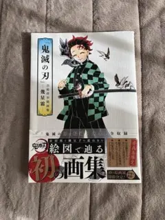 『鬼滅の刃』吾峠呼世晴画集―幾星霜―