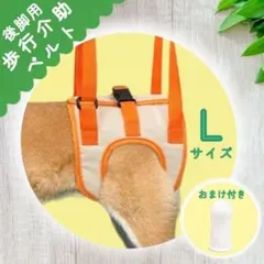 Item thumbnail for item c90af0e5-6c64-4527-8b96-f5a34b687395