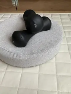 5kgダンベル×2個