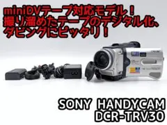 2025年最新】DCR-TRV30の人気アイテム - メルカリ